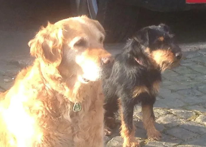 Jaeger * Grebenstein